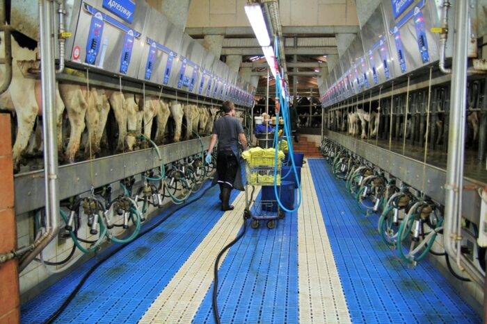 raport Zmiany preferencji Polaków w zakresie konsumpcji żywności, dariusz winek, Bank BGŻ BNP Paribas