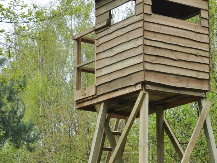 odstrzał dzików, polski związek łowiecki, walka z asf w polsce, epidemia koronawirusa