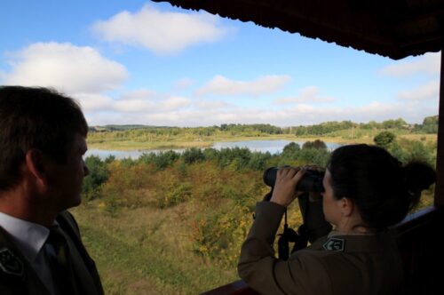 lasy państwowe, pgnig, emisja co2, waldemar wójcik, konrad tomaszewski