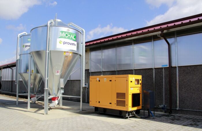 Roboty udojowe, obora, Pszczółkowscy, ruszta