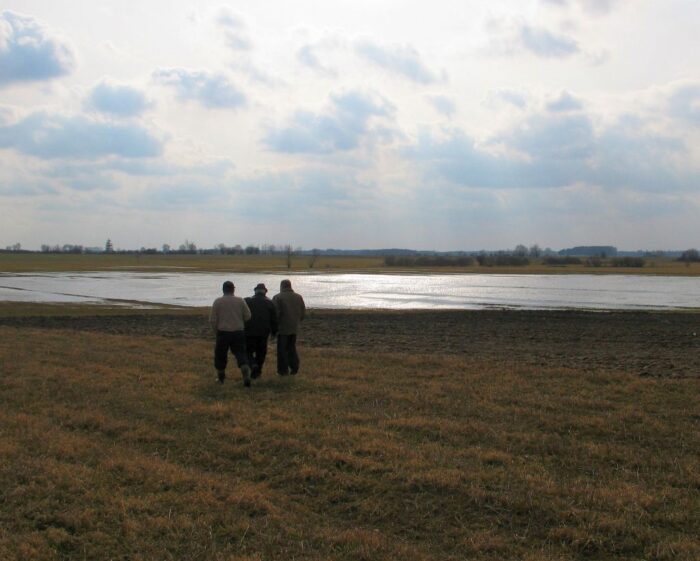 osn, obszary osn, dyrektywa azotanowa