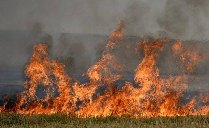 pożar, wypalanie traw, straż pożarna, strażacy, Paweł Frątczak