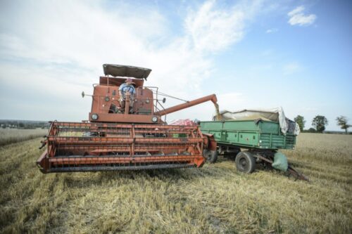 zbiory zbóż, produkcja zbożowa, arr, agencja rynku rolnego