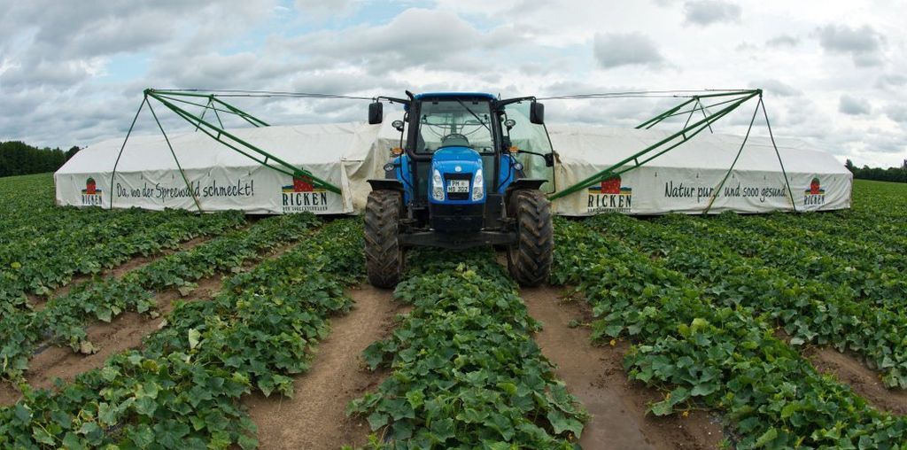 rolnictwo, budżet rolny, dotacje, ue