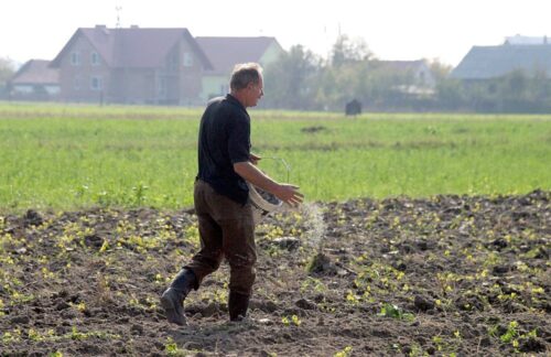 bezrobocie na wsi, bezrobocie, bezrobotni zapisani w urzędach pracy