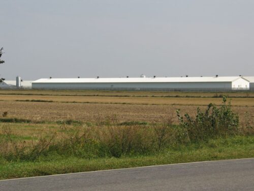 ocena środowiskowa, sooś, nik, najwyższa izba kontroli