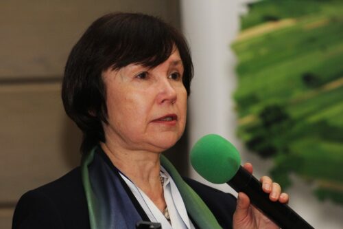 stres cieplny, krowy mleczne, rozród, mleko