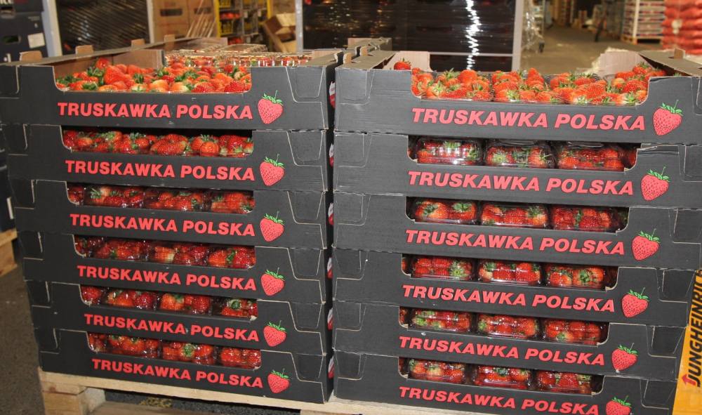 eksport, ministerstwo rolnictwa, eksport żywności, priorytetowe rynki eksportowe, agrobiznes