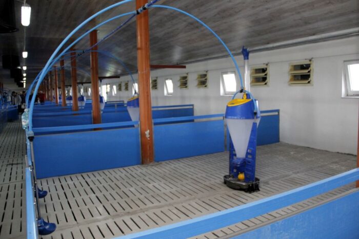 głodowo, powiat lipnowski, kujawy i pomorze, budowa chlewni, chlewnia, trzoda chlewna