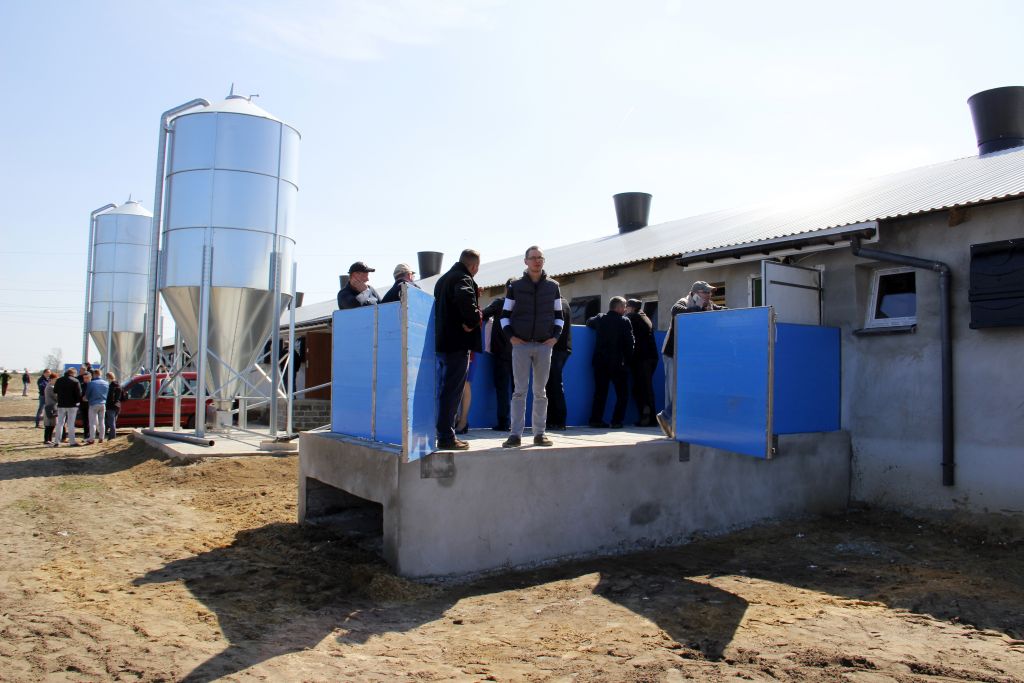 tuczarnia, tucz kontraktowy, trzoda chlewna