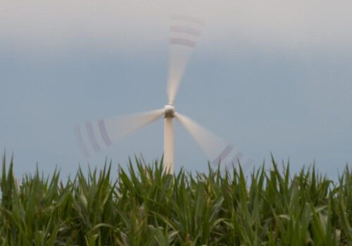 OZE, wiatrak, energia, energia wiatrowa, Sejm, ustawa, PiS, rząd