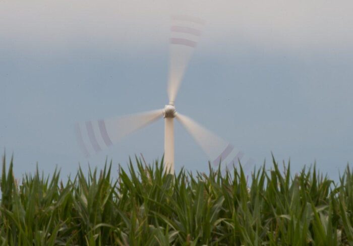 OZE, wiatrak, energia, energia wiatrowa, Sejm, ustawa, PiS, rząd