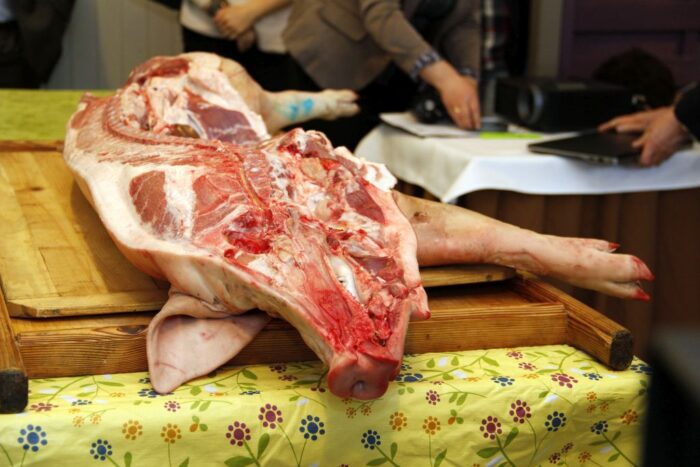 rasa puławska, wieprzowina, Ostromecko,