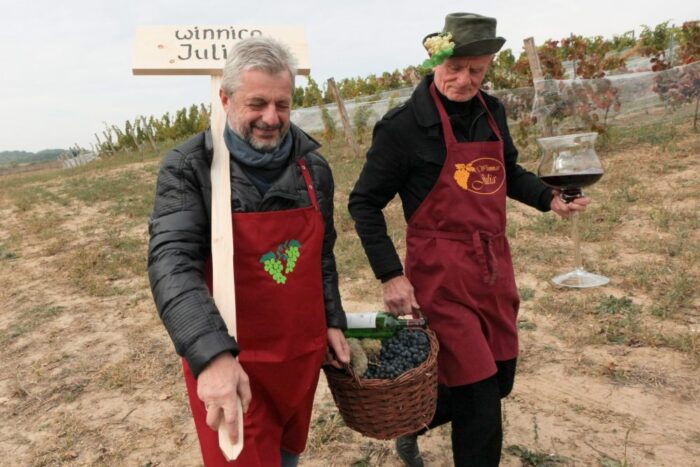 Weekendy Otwartych Winnic, Lubuskie Centrum Winiarstwa w Zaborze, winnice, lubuskie