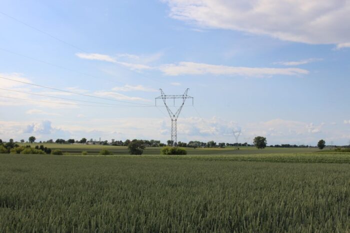 ziemia, ceny ziemi, grunty rolne, zakup ziemi, dzierżawa ziemi, anr