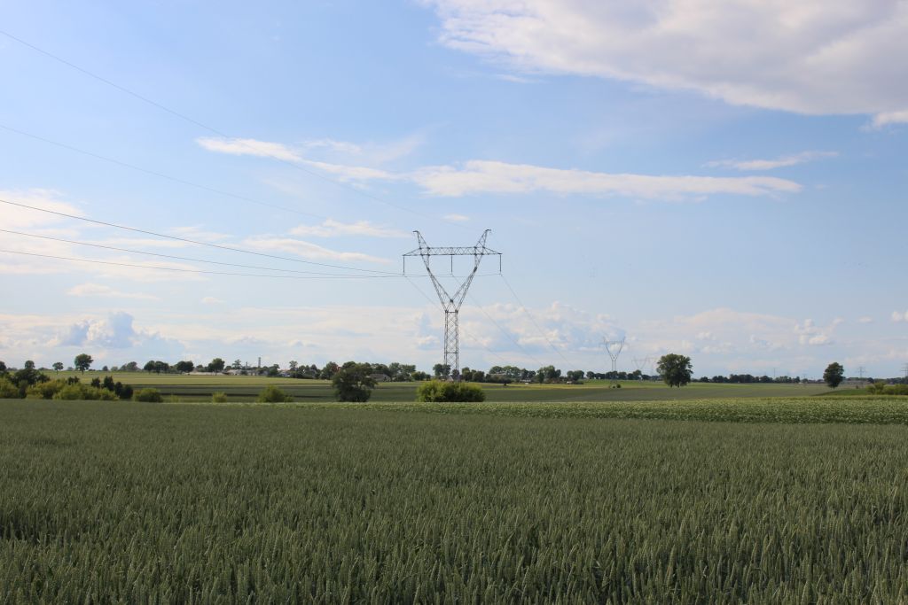 ziemia, ceny ziemi, grunty rolne, zakup ziemi, dzierżawa ziemi, anr