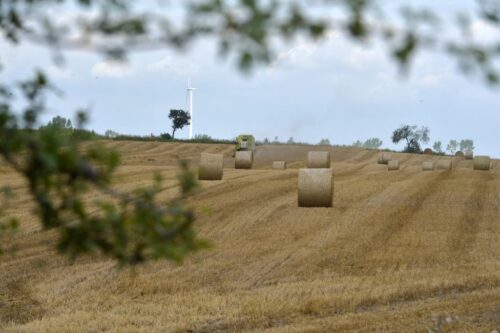 Krajowy Rejestr Długów, adam łącki, zadłużenie rolnictwa, rolnictwo