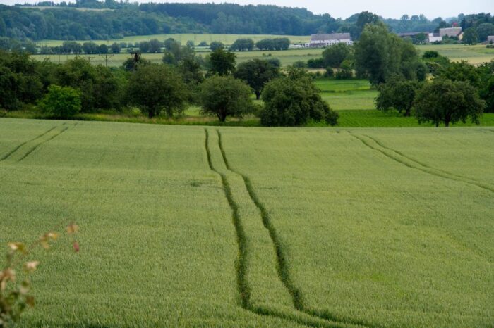 ustawa o obrocie ziemią, komisja europejska, bruksela, sprzedaż ziemi, dzierżawa ziemi