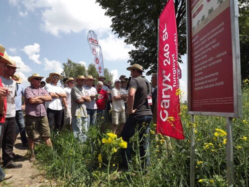 Agro Akademia BASF 2016, BASF, Kolonia Siedliszczki, lubelskie, ADOB, Ligmagrain Polska, K+S, John Deere Polska, uprawa