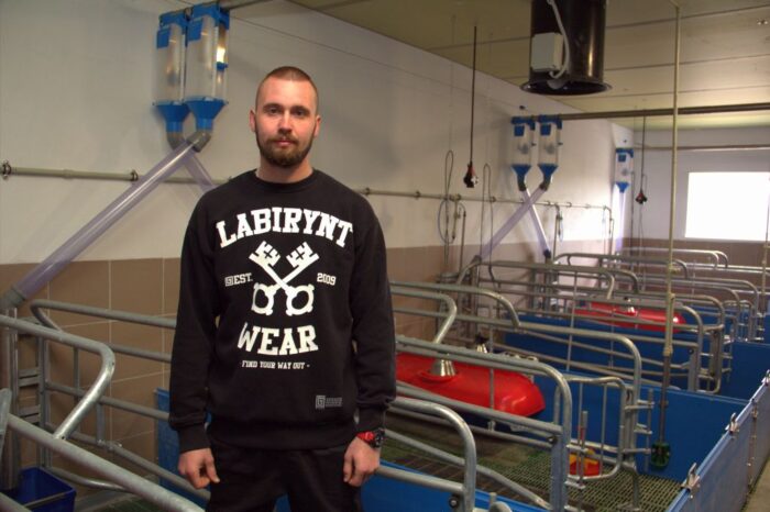 chlewnia, produkcja prosiąt, lochy, sektor porodowy,