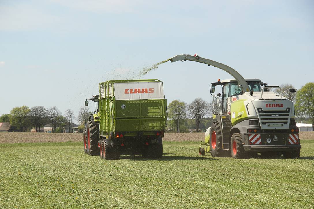 Sieczkarnia Claas Jaguar 840
