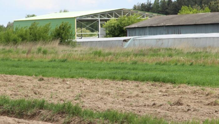 inwestycje, kapitał zagraniczny, Europa Środkowa, inwestycje zagraniczne w Polsce, Unia Europejska