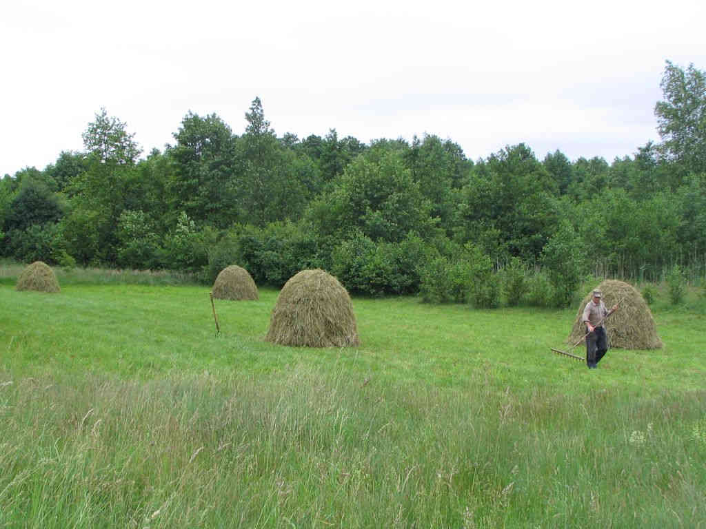 kleszcze_rolnicy