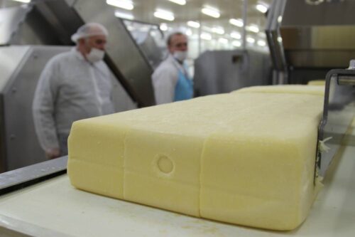 mleko, produkcja mleka, seminarium, Łowicz, Nowoczesna obora - z nami wiesz co pijesz, mleko