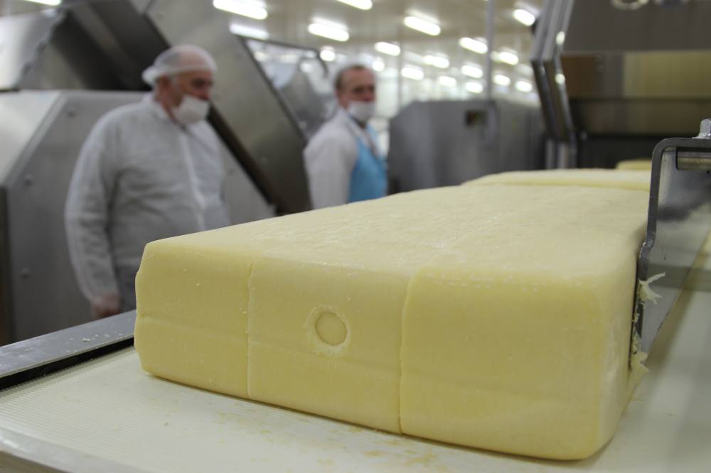 mleko, produkcja mleka, seminarium, Łowicz, Nowoczesna obora - z nami wiesz co pijesz, mleko