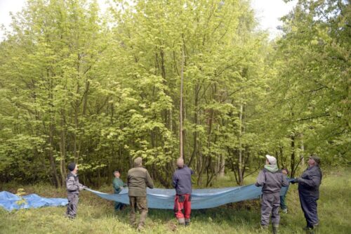 ochrona środowiska, emisja co2, co2, emisja gazów cieplarnianych