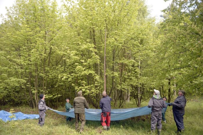ochrona środowiska, emisja co2, co2, emisja gazów cieplarnianych