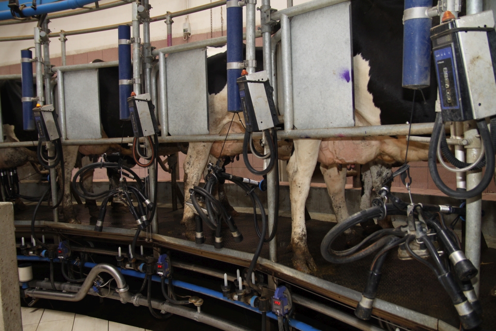 raport Zmiany preferencji Polaków w zakresie konsumpcji żywności, dariusz winek, Bank BGŻ BNP Paribas