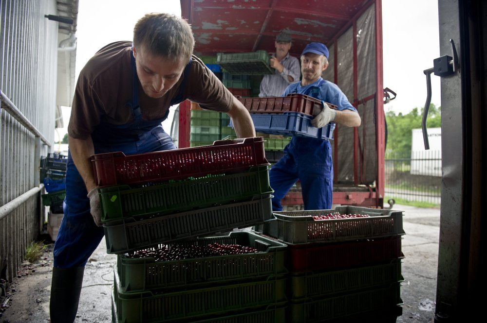 praca, umowa o pracę, prawo pracy, sejm, pip