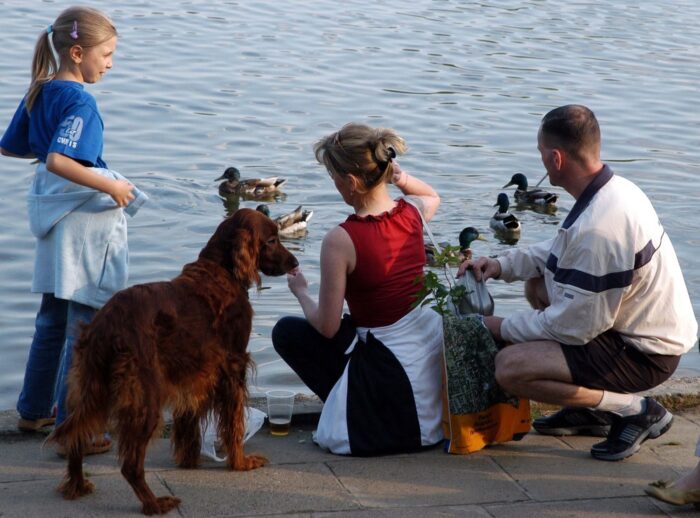 przyrost naturalny, gus, śmiertelność niemowląt, ludność polski
