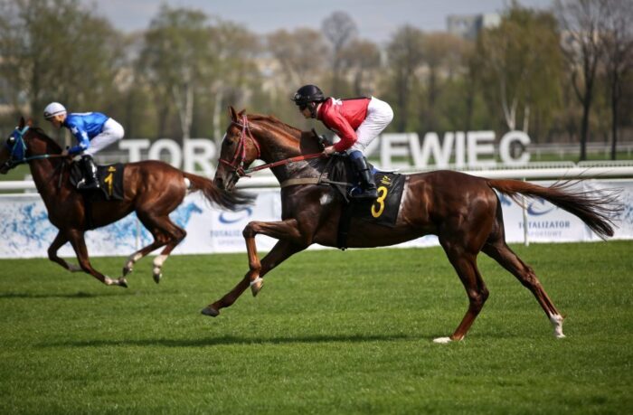 ustawa o wyścigach konnych, senat, Polski Klub Wyścigów Konnych