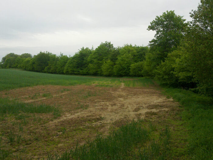 pszenica, erozja wodna, pole, gleba