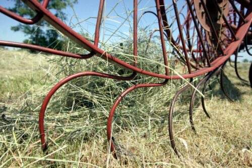 susza rolnicza, krir, wiktor szmulewicz, krajowa rada izb rolniczych