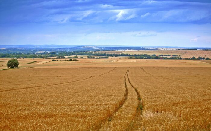 śląsk, rozwój wsi, rybołówstwo, EFRROW
