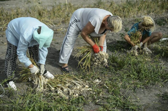lubelszczyzna, lokalne grupy działania, prow 2014-2020