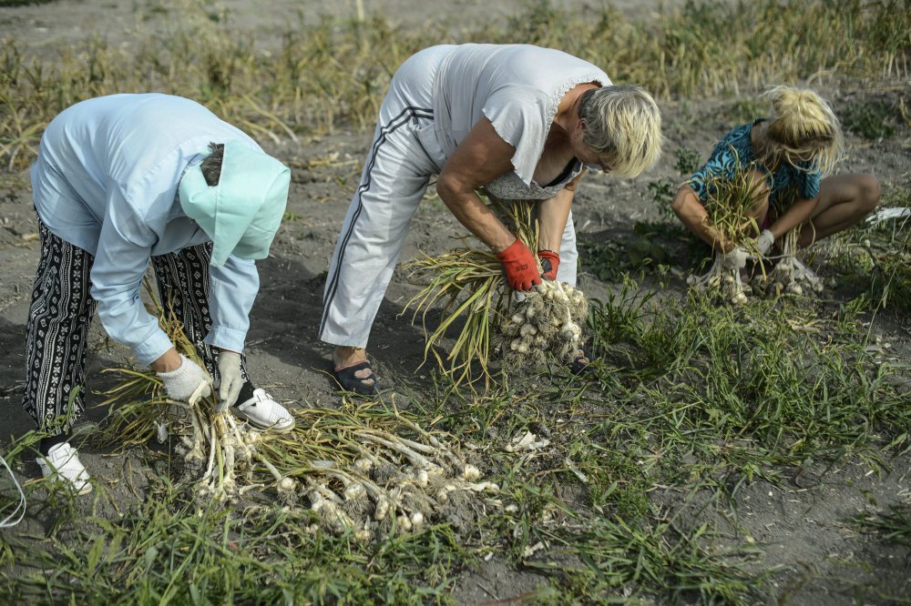 lubelszczyzna, lokalne grupy działania, prow 2014-2020