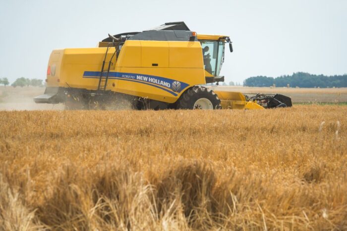 produkcja, zbóż, zbiory zbóż, zapasy zbóż, Międzynarodowa Rada Zbożowa, igc