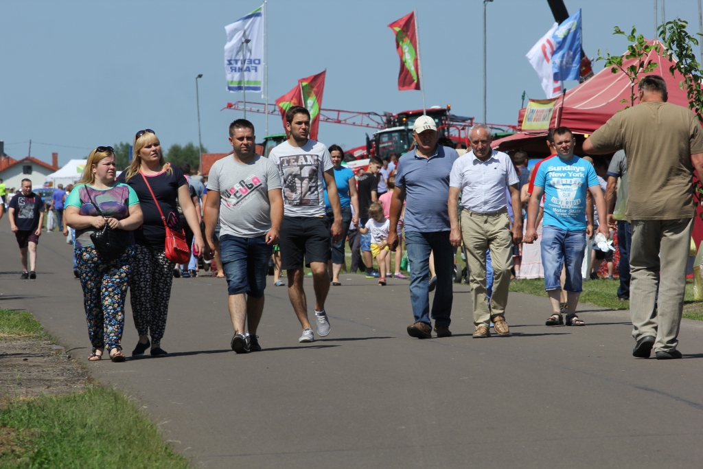 zarzeczewo, targi rolnicze, maszyny, ciągniki