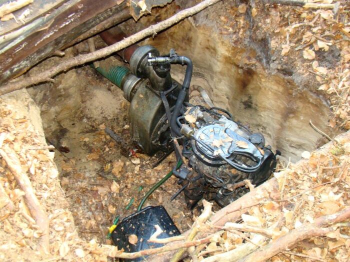 bursztynarze, mierzeja wiślana, Jan Piotrowski, Nadleśnictwo Elbląg