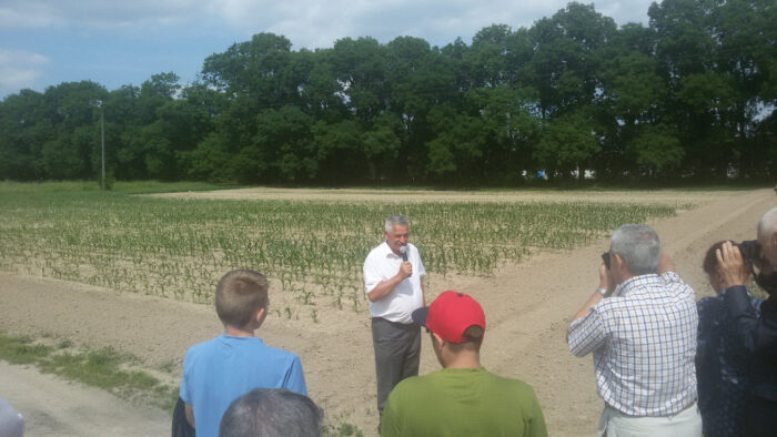 dr Roman Warzecha, kukurydza, Radzików