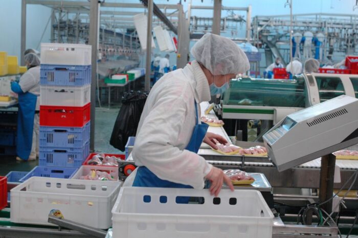 drób, eksport drobiu, podroby drobiowe