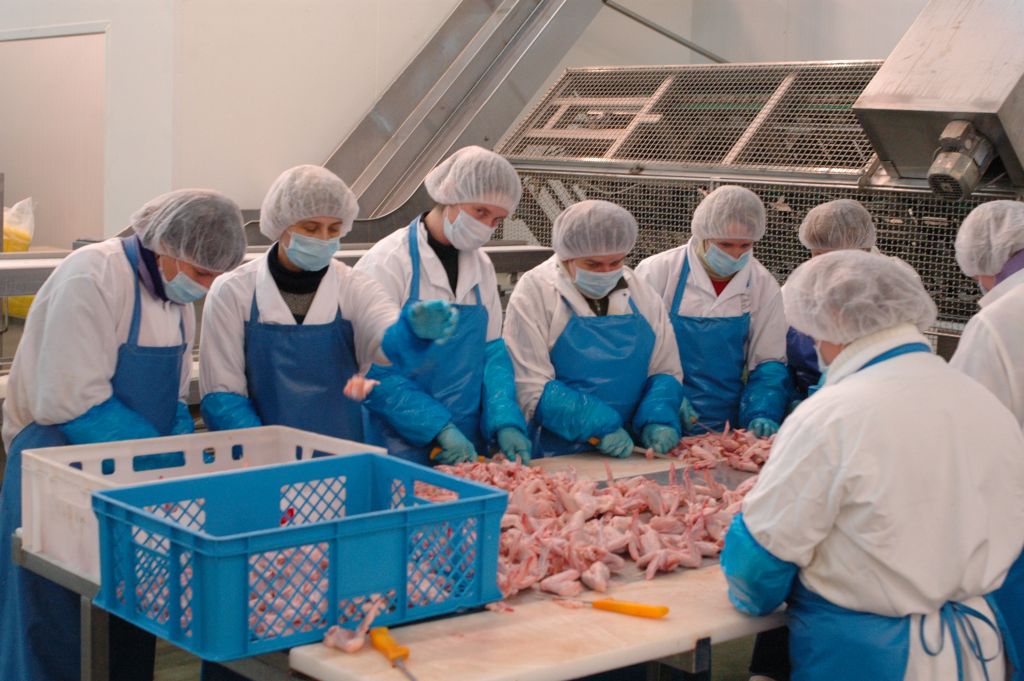 eksport drobiu do chin, drób, eksport drobiu, krd