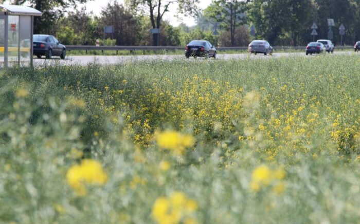 rolnictwo, nowy samochód, Mitsubishi, BGŻ BNP Paribas, Mitsubishi Motors