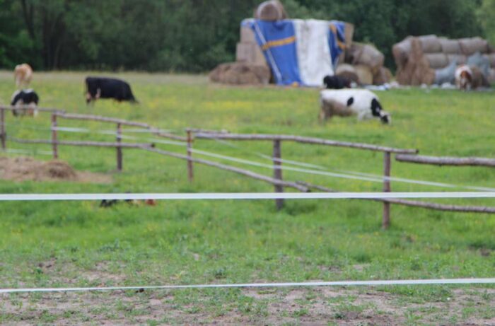 pastwiska, grodzenie pastwisk, bydło, krir, ministesrtwo rolnictwa