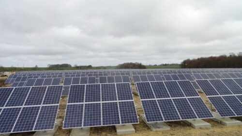 Mieczysław Koch, Stowarzyszenia Energii Odnawialnej, zielona energia