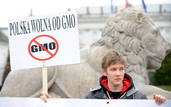 gmo, organizmy genetycznie modyfikowane, żywność genetycznie modyfikowana